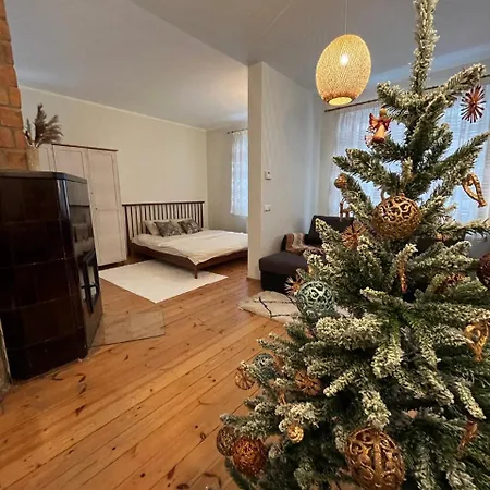 Cozy Flat With Fireplace