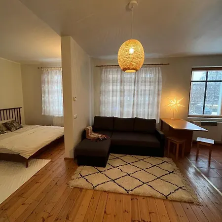 Cozy Flat With Fireplace شقة تالين