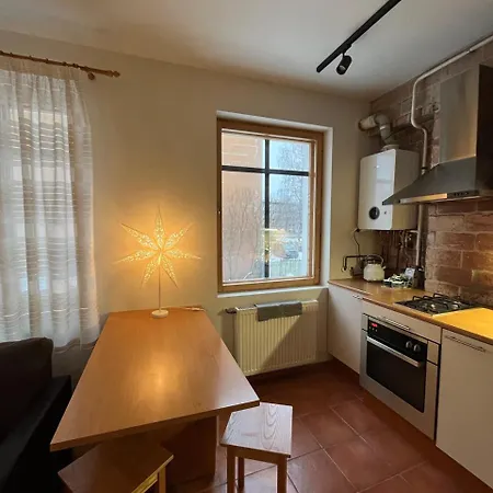 Cozy Flat With Fireplace 公寓